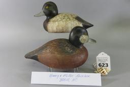 Pr. Harry & Millie Rauscher Ruddy Ducks