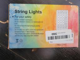 String Lights $1 STS