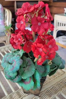 Geranium Floral Arrangement $1 STS