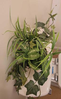 Artificial Greenery $1 STS