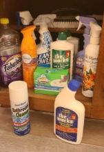 Bathroom Cleaners $2 STS