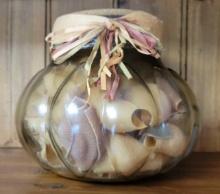 Glass Container with Shells $1 STS