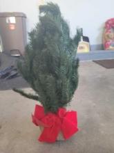 Small Tree $1 STS