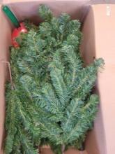 Christmas Tree $5 STS