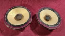 Set of Vintage TwinAxiom 10 Speakers