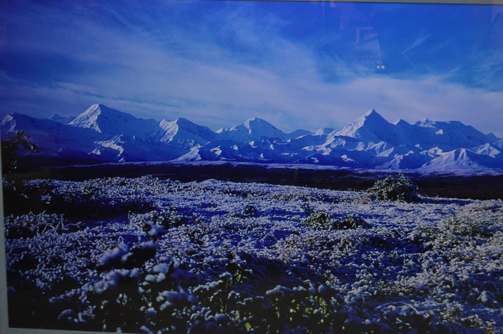 Thomas D. Mangelsen (American, 20th C.) Moose, Snow Capped Range, Large Format Ltd. Ed. Giclee Print