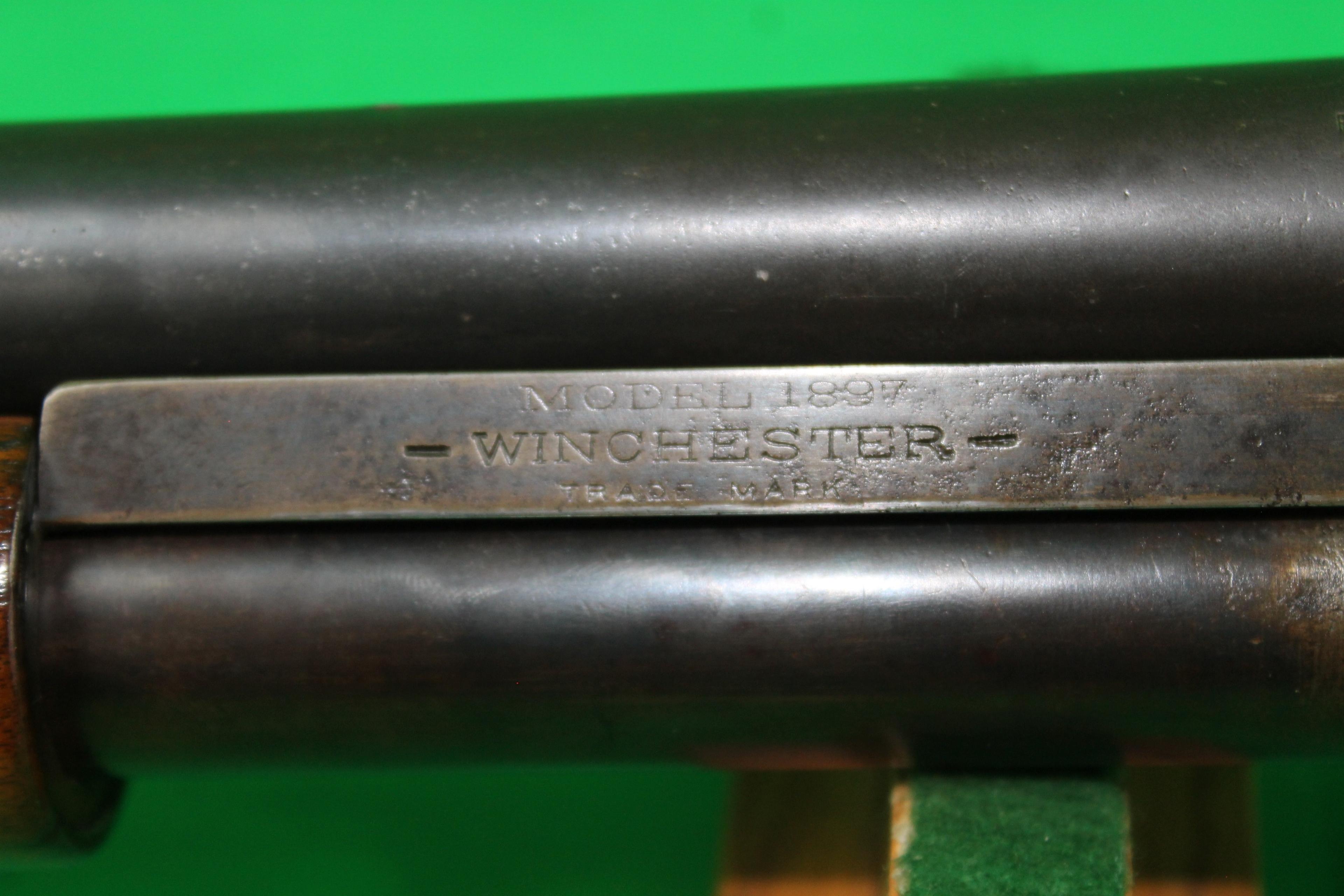 Winchester 1897 12 GA