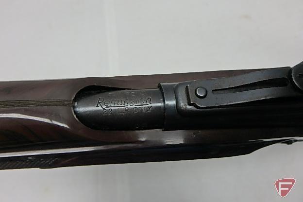 Remington Nylon 66 .22LR semi-automatic rifle