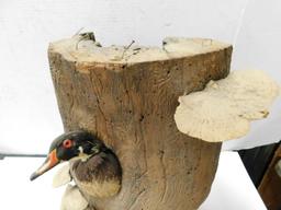 WOOD LOG WITH TAXIDERMY WOOD DUCK