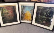 Group of 3 Framed Wall Art Pieces
