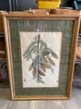 Framed Pinetree Branch Print