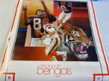 Vintage Cincinnati Bengals Poster