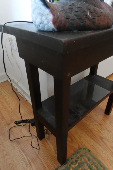 SMALL PRIMITIVE END TABLE WITH CARDINAL LAMP