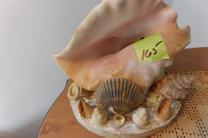 CONCH SHELL LAMP