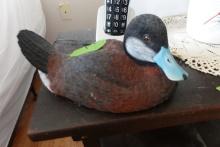 DRAKE RUDDY DUCK AND MERGANZER WITH BROKEN BILL SYNTHETIC