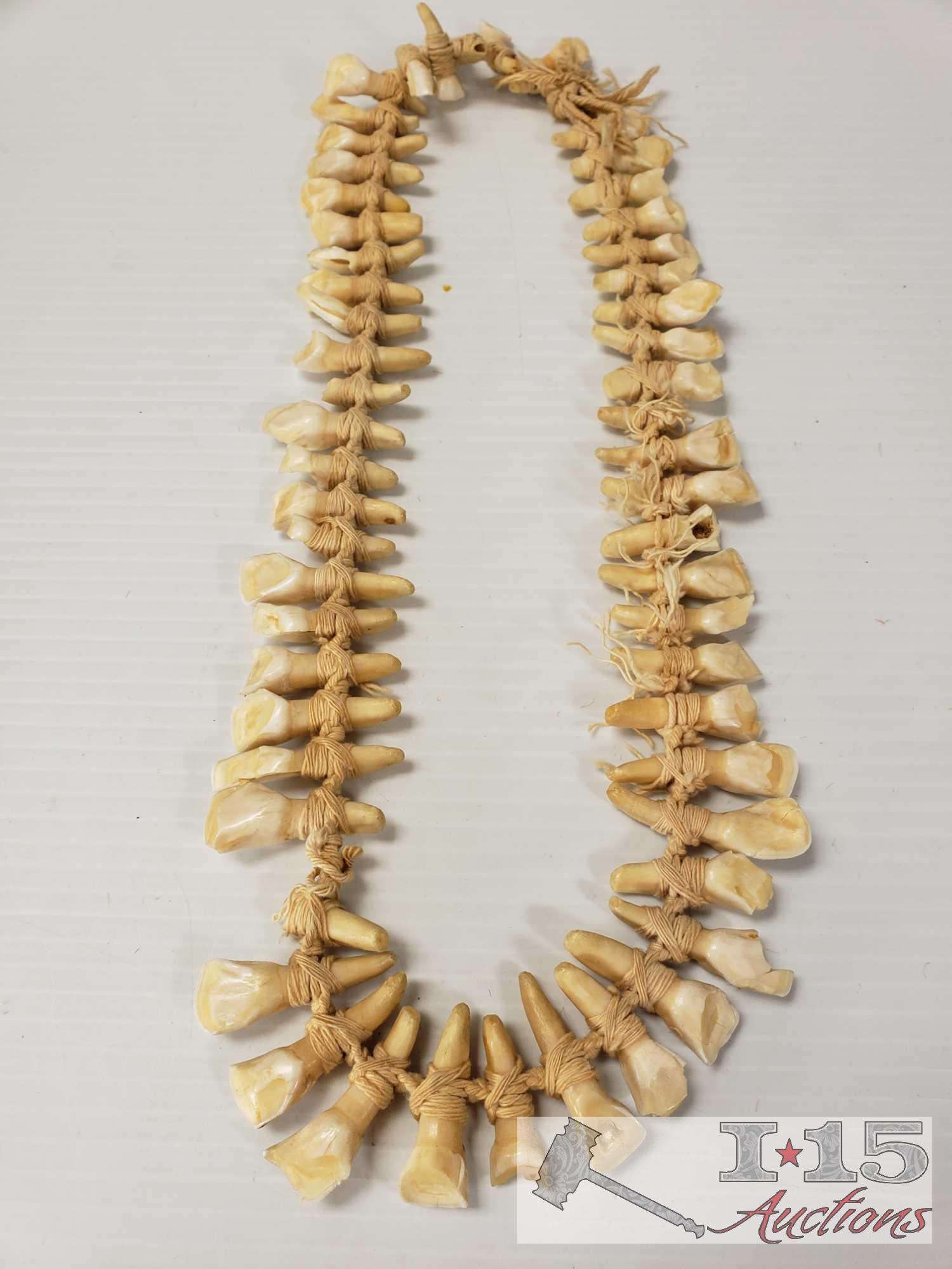 Necklace of Teeth