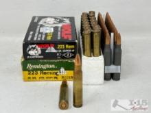 40 Rounds of .223 REM Ammo