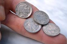 Lot of 4 Buffalo Nickels -- Higher Grade, Full Date