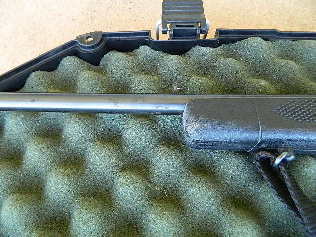 Ruger 10/22 auto w/scope
