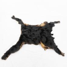Tanned Black Bear Animal Hide w Claws