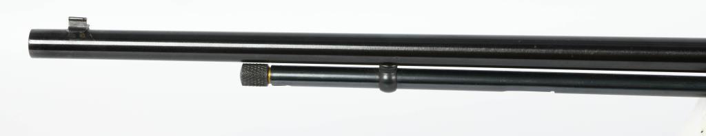Savage Arms Stevens Model 87A Semi Auto Rifle .22