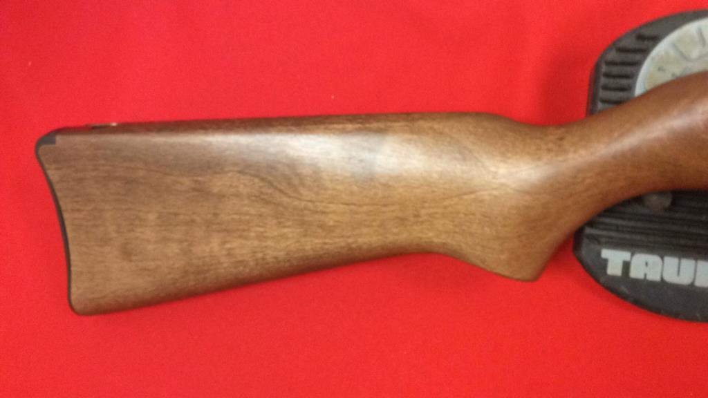 Ruger 10/22 Rifle