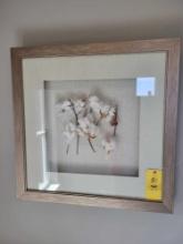 Large shadow box style frame of natural material cotton plants