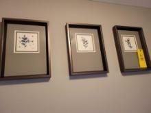 Set of 3 Vera botanical themed prints
