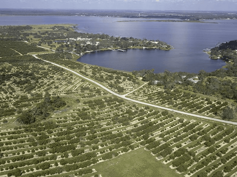 Invest in Polk County: 1.25 Acres in Central Florida!