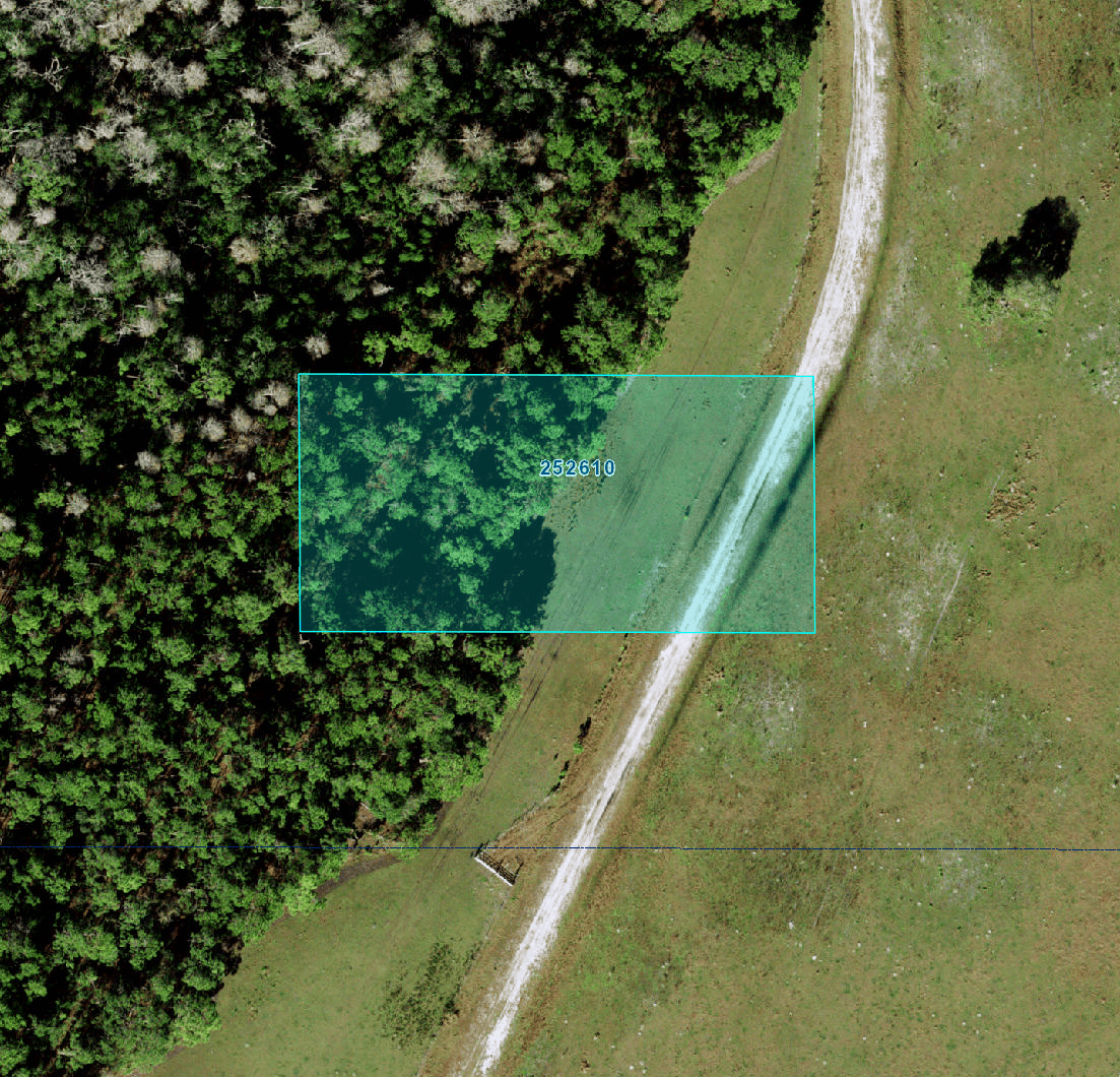 Invest in Polk County: 1.25 Acres in Central Florida!