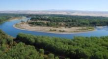 Nearly an Acre in Red Bluff, California Near the Sacramento River!