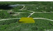 Two Adjacent Lots Just Steps from Lake Miramichi in Osceola County, Michigan!