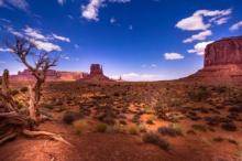 1.26 Acre Lot in Historic and Breathtaking Navajo County, Arizona!