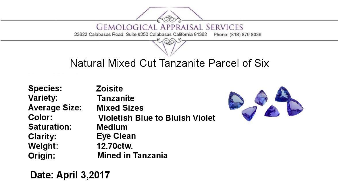 12.70 ctw. Natural Mixed Cut Tanzanite Parcel of Six