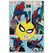 Amazing Spider-Man #90 by Marvel Comics
