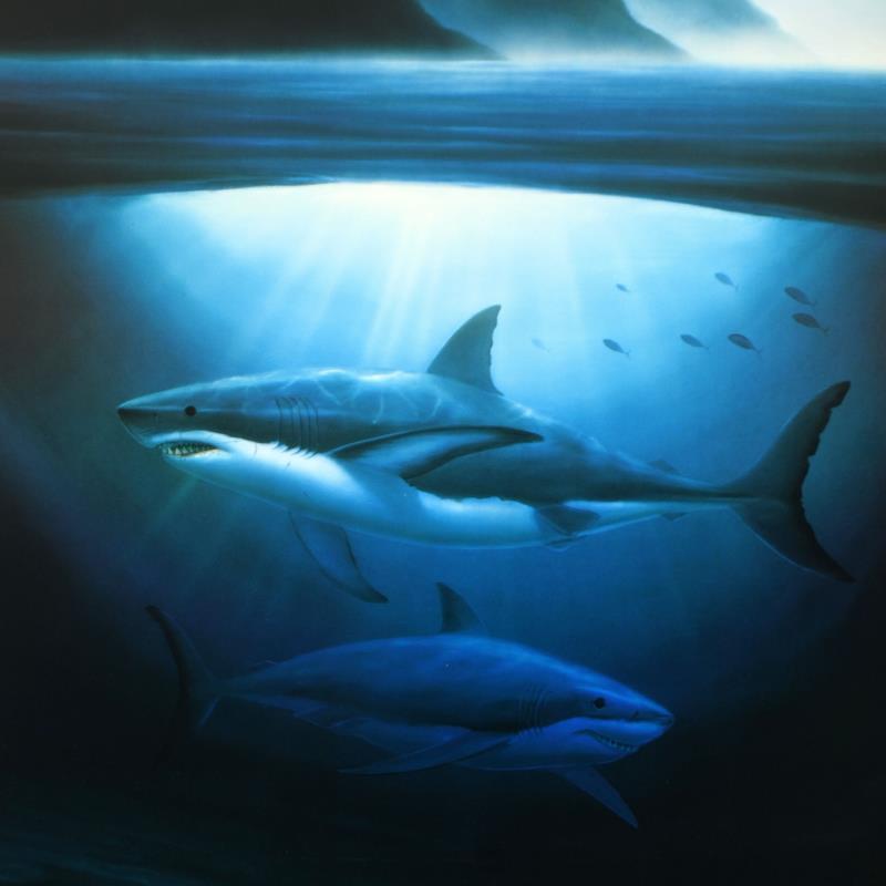 Great White Sharks by Wyland