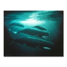 The Great Sperm Whale by Wyland