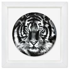 Tiger by Longo, Robert