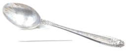 Silver Plated Teaspoon