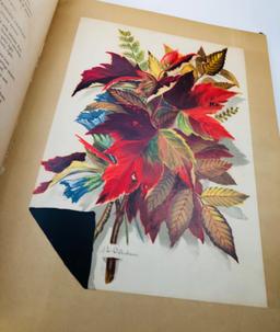 RARE Indian Summer; Autumn Poems and Sketches by L. Clarkson (1881) Twelve Chromoliths