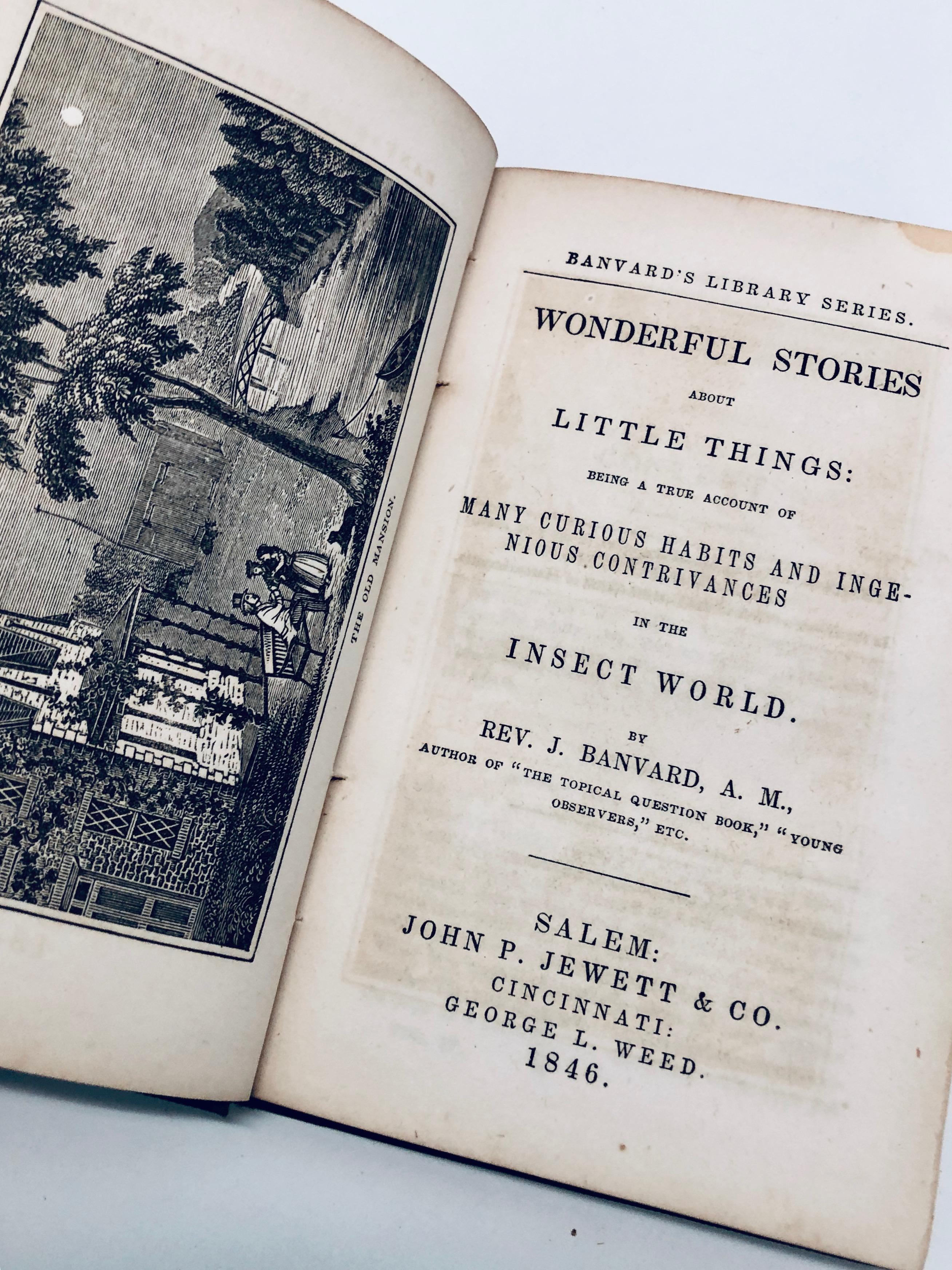 RARE Wonderful Stories About Little Things: Many Curious Habits of the Insect World (1846)