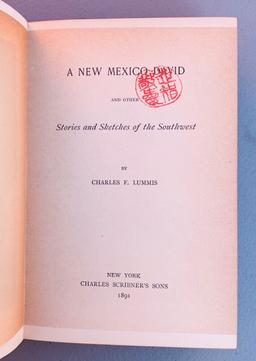 RARE A New Mexico David and Other Stories and Sketches of the Southwest by Charles F. Lummis (1891)