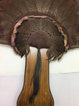 Set of Wild Turkey Tail Feathers and Beard