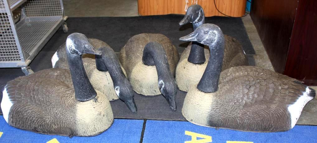 Five Carry Lite Magnum Canadian Goose Shell Decoys
