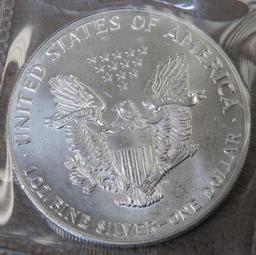 1993 US Walking Liberty American Eagle Silver Ounce Coin