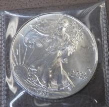 1993 US Walking Liberty American Eagle Silver Ounce Coin