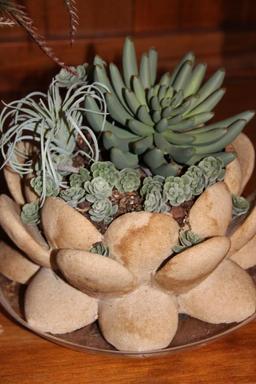 Artificial Floral Arrangements in Pots