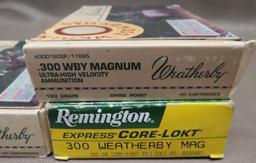 300 Weatherby Magnum Ammunition and Brass